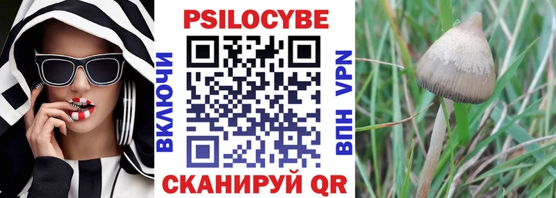Галлюциногенные грибы Cubensis Нефтеюганск